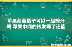 苹果葡萄橘子可以一起榨汁吗 苹果中间的核发霉了还能吃吗