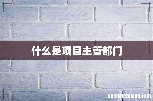 什么是项目主管部门