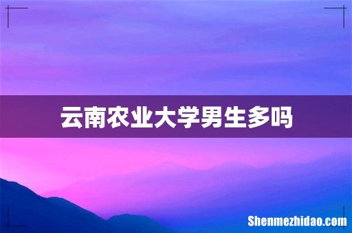 云南农业大学男生多吗
