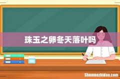珠玉之卵冬天落叶吗