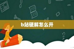 b站硬解怎么开