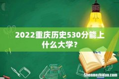 2022重庆历史530分能上什么大学？