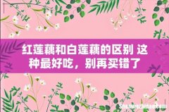 红莲藕和白莲藕的区别 这种最好吃，别再买错了