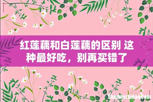 红莲藕和白莲藕的区别 这种最好吃，别再买错了