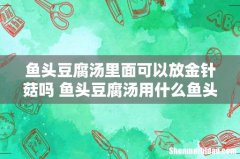 鱼头豆腐汤里面可以放金针菇吗 鱼头豆腐汤用什么鱼头
