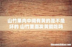 山竹果肉中间有黄的是不是坏的 山竹里面发黄能吃吗