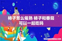 柿子怎么催熟 柿子和番茄可以一起吃吗