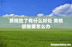 黄桃吃了有什么好处 黄桃很酸要怎么办