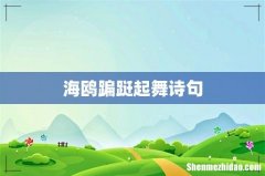 海鸥蹁跹起舞诗句