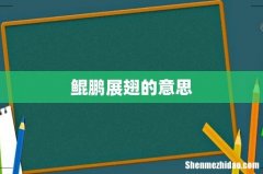 鲲鹏展翅的意思