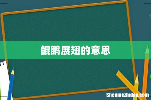 鲲鹏展翅的意思