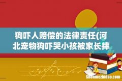 河北宠物狗吓哭小孩被家长摔死，行为人到底要不要赔偿？ 狗吓人赔偿的法律责任