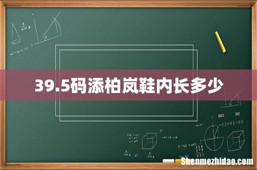 39.5码添柏岚鞋内长多少