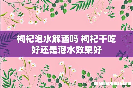 枸杞泡水解酒吗 枸杞干吃好还是泡水效果好