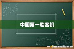 中国第一胎客机