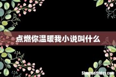 点燃你温暖我小说叫什么