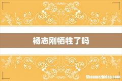 杨志刚牺牲了吗