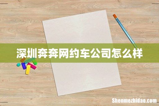 深圳奔奔网约车公司怎么样