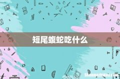 短尾蝮蛇吃什么
