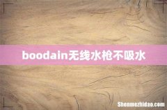 boodain无线水枪不吸水