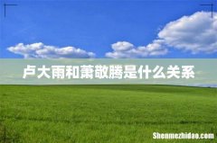 卢大雨和萧敬腾是什么关系