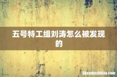 五号特工组刘涛怎么被发现的