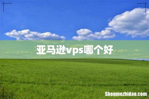 亚马逊vps哪个好