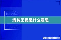 清纯无暇是什么意思