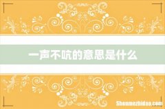 一声不吭的意思是什么