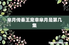 芈月传秦王宠幸芈月是第几集