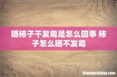 晒柿子干发霉是怎么回事 柿子怎么晒不发霉