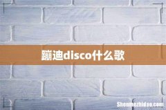 蹦迪disco什么歌