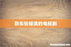 靳东张檬演的电视剧