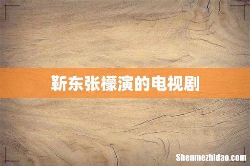 靳东张檬演的电视剧