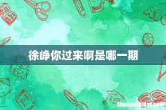 徐峥你过来啊是哪一期