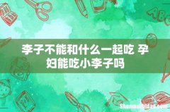 李子不能和什么一起吃 孕妇能吃小李子吗