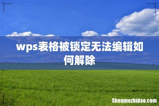 wps表格被锁定无法编辑如何解除