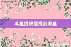 斗鱼提现是提到哪里