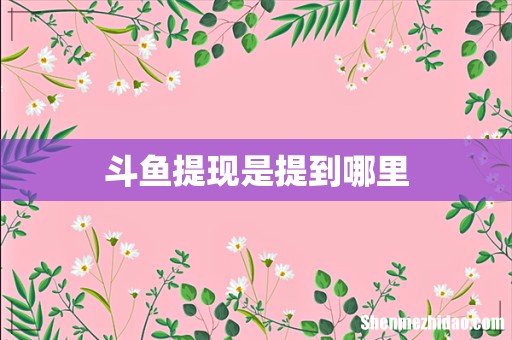 斗鱼提现是提到哪里