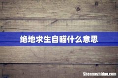 绝地求生自瞄什么意思