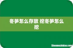 冬笋怎么存放 挖冬笋怎么挖