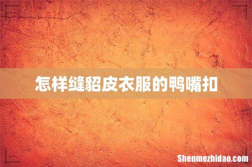 怎样缝貂皮衣服的鸭嘴扣