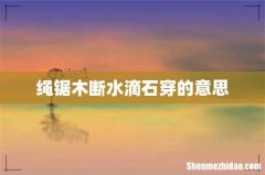 绳锯木断水滴石穿的意思