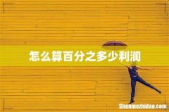 怎么算百分之多少利润