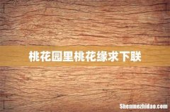 桃花园里桃花缘求下联