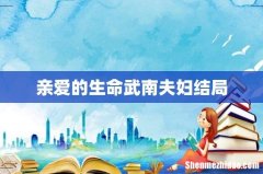 亲爱的生命武南夫妇结局