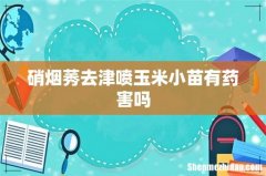 硝烟莠去津喷玉米小苗有药害吗