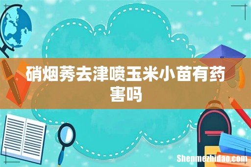 硝烟莠去津喷玉米小苗有药害吗
