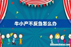 牛小产不反刍怎么办