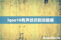 iqoo10有声纹识别功能嘛